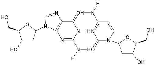 Deoxyguanosine and Deoxycytidine bonded by hydrogen atoms